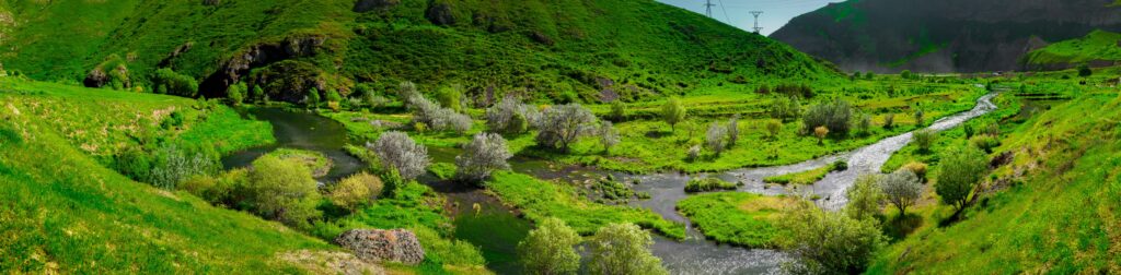 En bild på den grönskande naturen i Armenien