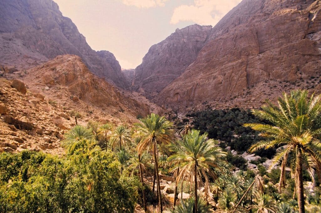 rundreiser til Oman med orienttravel