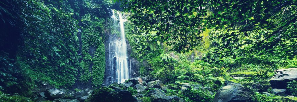 En bild på ett vattenfall i Indonesiens djungel